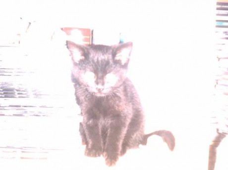 Světelný čertík.JPG